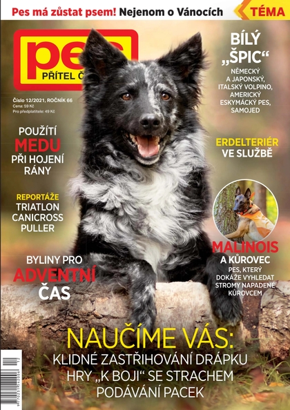 E-magazín Pes přítel člověka 12/2021 - Pražská vydavatelská společnost