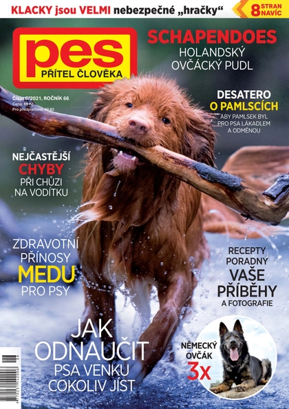 E-magazín Pes přítel člověka 6/2021 - Pražská vydavatelská společnost