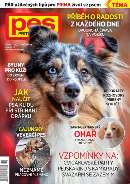 E-magazín Pes přítel člověka 11/2021 - Pražská vydavatelská společnost