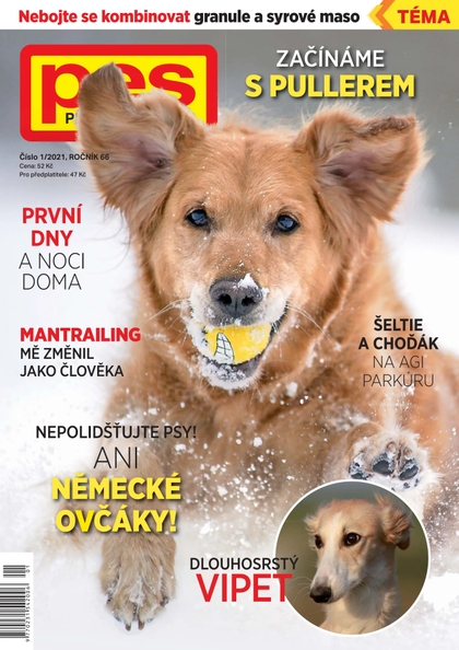 E-magazín Pes přítel člověka 1/2021 - Pražská vydavatelská společnost