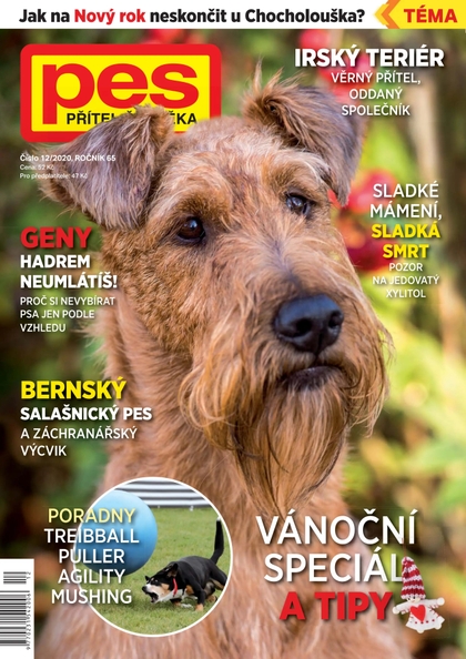 E-magazín Pes přítel člověka 12/2020 - Pražská vydavatelská společnost