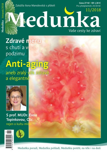 E-magazín Meduňka 11/2018 - K4K Publishing s.r.o.