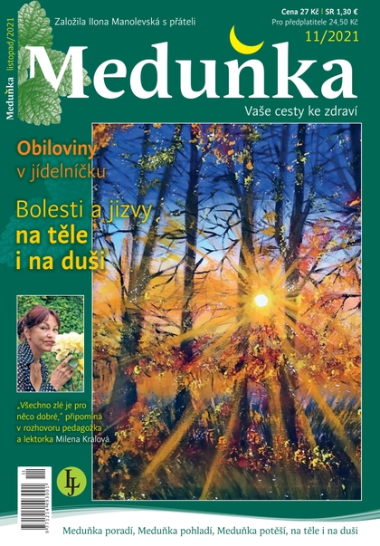 E-magazín Meduňka 11/2021 - K4K Publishing s.r.o.