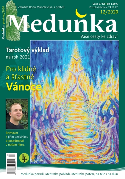 E-magazín Meduňka 12/2020 - K4K Publishing s.r.o.