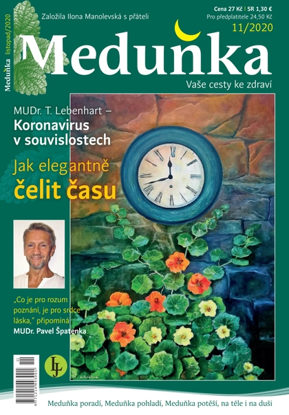 E-magazín Meduňka 11/2020 - K4K Publishing s.r.o.