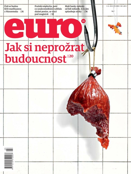 E-magazín EURO 23/2012 Jak si neprožrat budoucnost - New Look Media