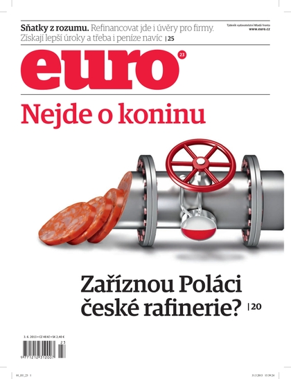 E-magazín EURO 23/2013 - New Look Media