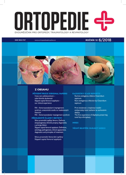 E-magazín Ortopedie 6/2018 - EEZY Publishing
