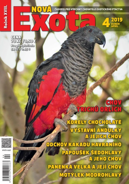 E-magazín Nová EXOTA 4/2019 - Nová Exota