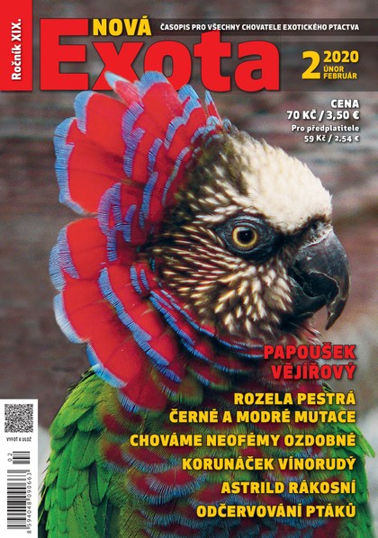 E-magazín Nová EXOTA 2/2020 - Nová Exota