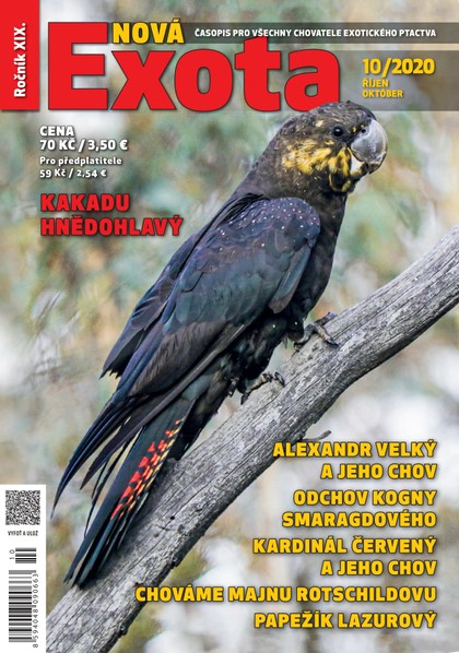 E-magazín Nová EXOTA 10/2020 - Nová Exota