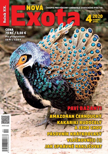 E-magazín Nová EXOTA 4/2020 - Nová Exota