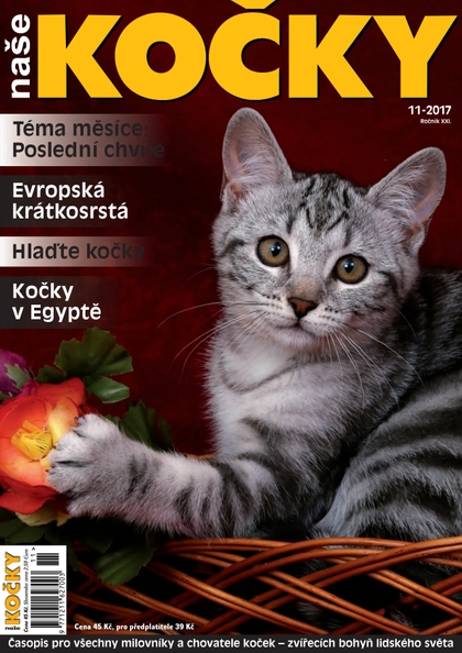 E-magazín Naše kočky, 11-2017 - Nakladatelství Minerva CZ, s. r. o.