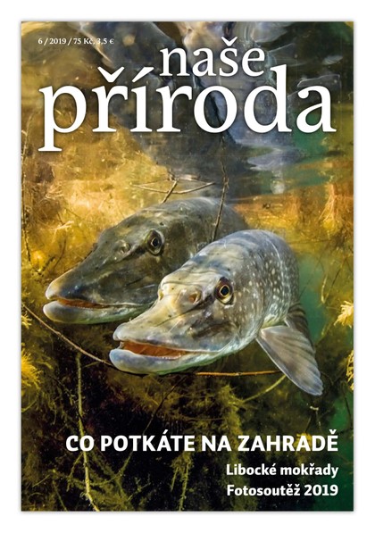 E-magazín Naše příroda 6/2019 - Naše příroda