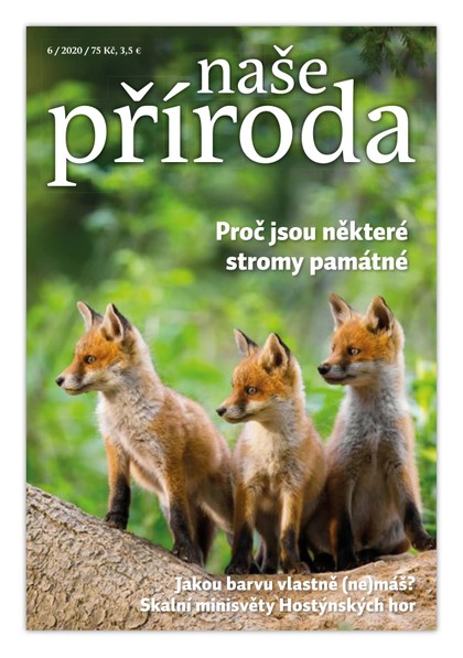 E-magazín Naše příroda 6/2020 - Naše příroda