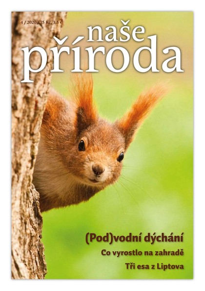 E-magazín Naše příroda 4/2020 - Naše příroda