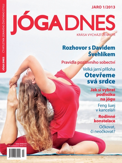 E-magazín JÓGA DNES 1/2013 - Power Yoga Akademie s.r.o.