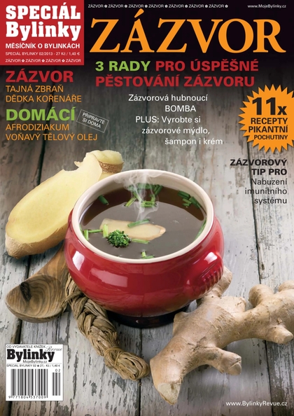E-magazín 2/2013 - Zázvor - BYLINKY REVUE, s. r. o.