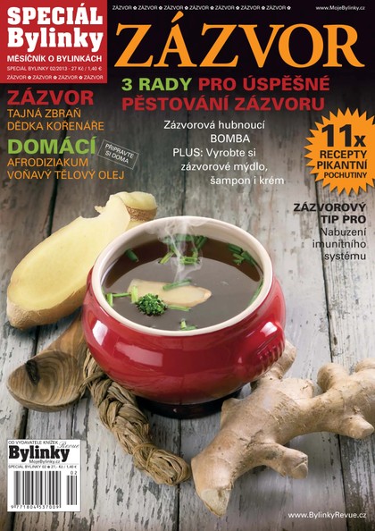 E-magazín 2/2013 - Zázvor - BYLINKY REVUE, s. r. o.
