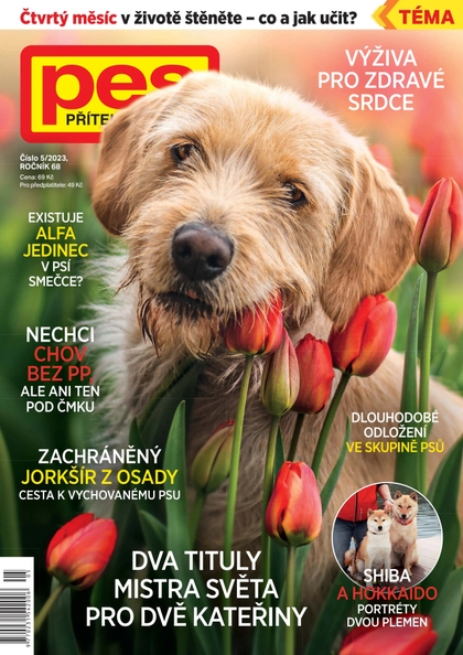 E-magazín Pes přítel člověka 5/2023 - Pražská vydavatelská společnost
