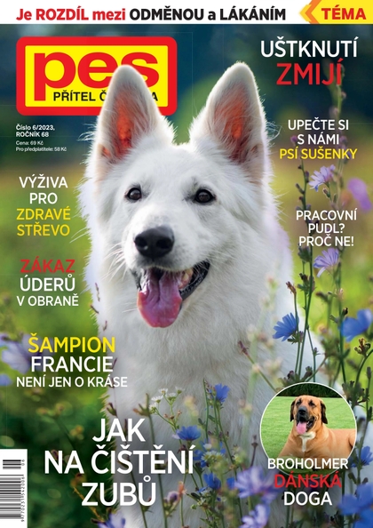 E-magazín Pes přítel člověka 6/2023 - Pražská vydavatelská společnost
