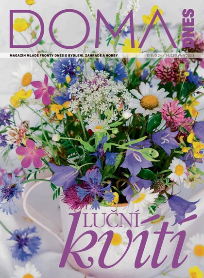 E-magazín DOMA DNES - 14.6.2023 - MAFRA, a.s.