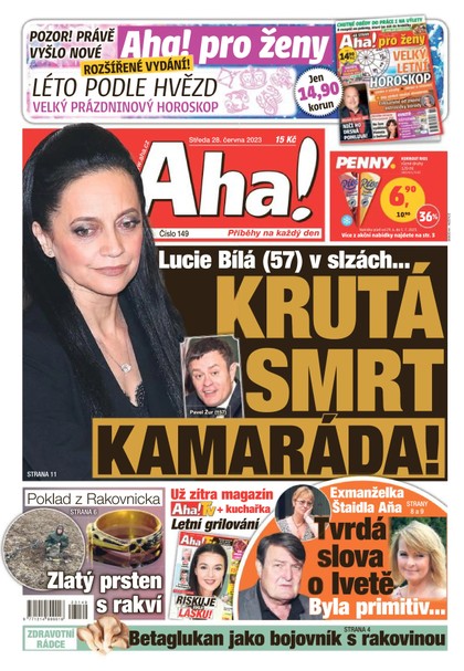 E-magazín AHA! - 28.6.2023 - CZECH NEWS CENTER a. s.