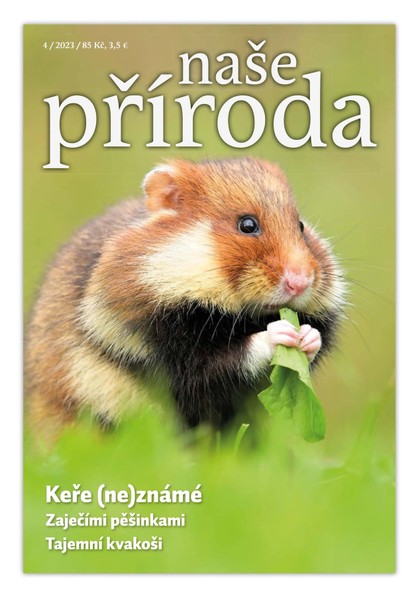 E-magazín Naše příroda 4/2023 - Naše příroda