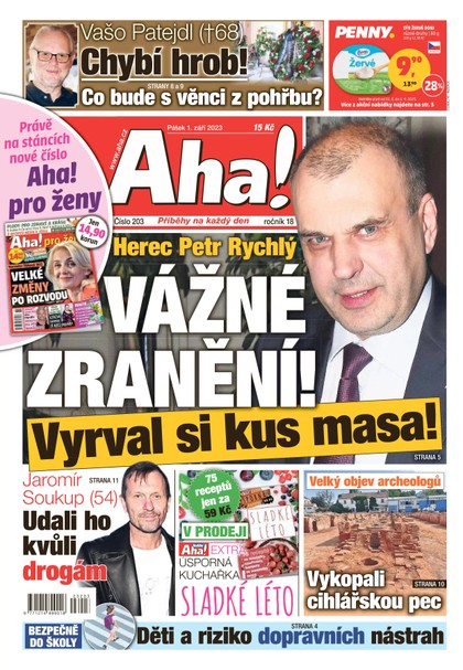 E-magazín AHA! - 1.9.2023 - CZECH NEWS CENTER a. s.