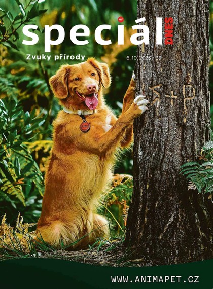 E-magazín Magazín DNES Speciál Magazín DNES Speciál Jižní Čechy - 6.10.2023 - MAFRA, a.s.