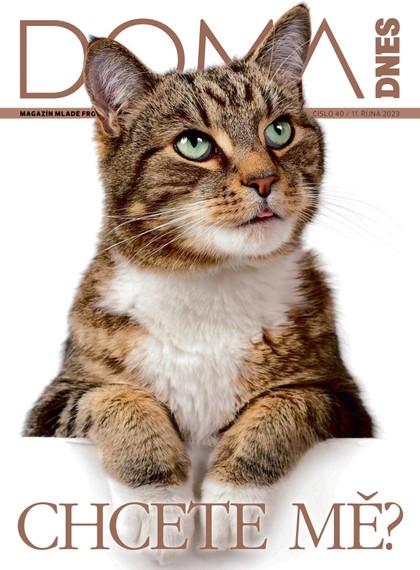 E-magazín DOMA DNES - 11.10.2023 - MAFRA, a.s.
