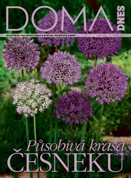 E-magazín DOMA DNES - 25.10.2023 - MAFRA, a.s.