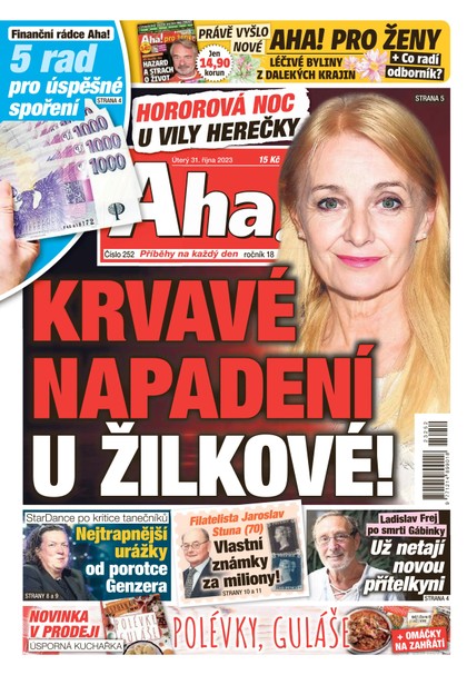 E-magazín AHA! - 31.10.2023 - CZECH NEWS CENTER a. s.