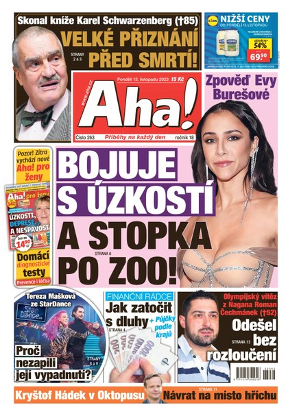 E-magazín AHA! - 13.11.2023 - CZECH NEWS CENTER a. s.