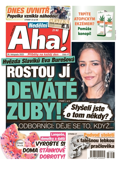 E-magazín Nedělní AHA! - 26.11.2023 - CZECH NEWS CENTER a. s.