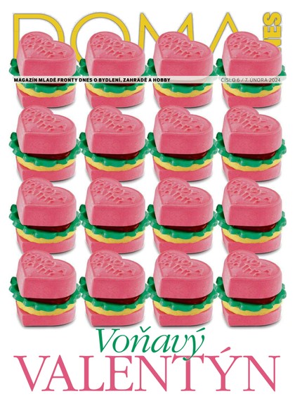 E-magazín DOMA DNES - 7.2.2024 - MAFRA, a.s.