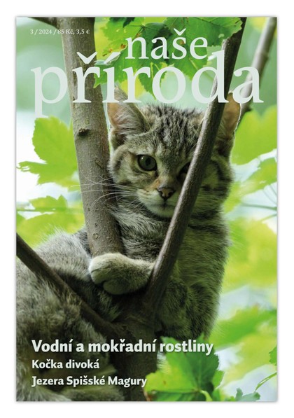 E-magazín Naše příroda 3/2024 - Naše příroda