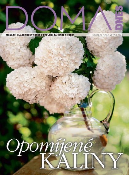 E-magazín DOMA DNES - 29.05.2024 - MAFRA, a.s.