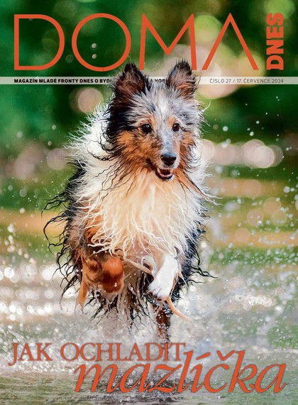 E-magazín DOMA DNES - 17.07.2024 - MAFRA, a.s.