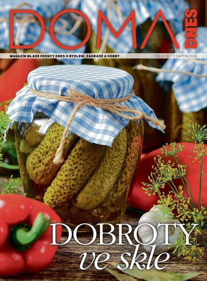 E-magazín DOMA DNES - 07.08.2024 - MAFRA, a.s.