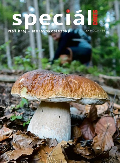 E-magazín Magazín DNES Speciál Magazín DNES Speciál Moravskoslezský - 20.09.2024 - MAFRA, a.s.