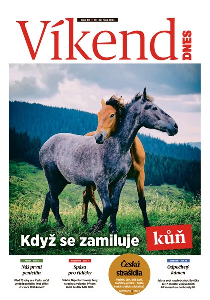 E-magazín Víkend DNES Vysočina - 19.10.2024 - MAFRA, a.s.
