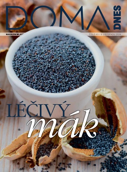 E-magazín DOMA DNES - 06.11.2024 - MAFRA, a.s.