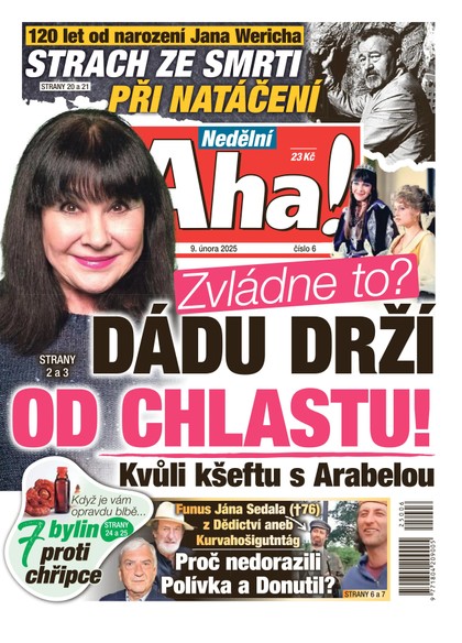 E-magazín NEDĚLNÍ AHA! - 09.02.2025 - CZECH NEWS CENTER a. s.