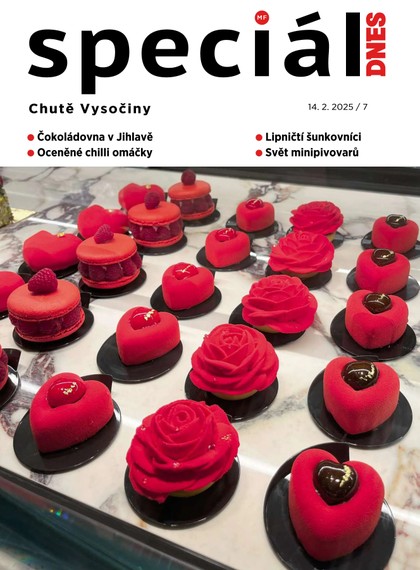 E-magazín Magazín DNES Speciál Magazín DNES Speciál Vysočina - 14.02.2025 - MAFRA, a.s.
