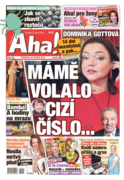 E-magazín AHA! - 17.02.2025 - CZECH NEWS CENTER a. s.