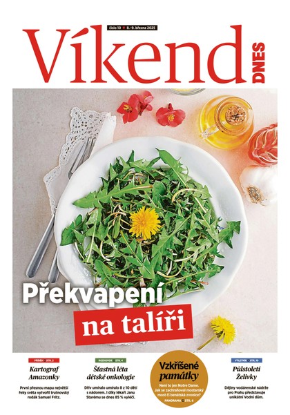 E-magazín Víkend DNES Vysočina - 08.03.2025 - MAFRA, a.s.