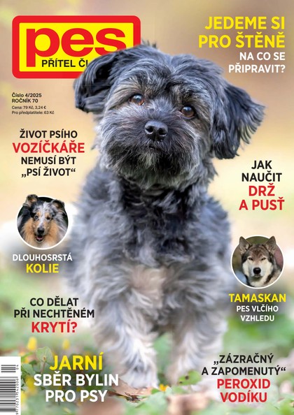 E-magazín Pes přítel člověka 4/2025 - Pražská vydavatelská společnost
