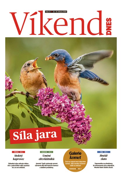 E-magazín Víkend DNES Jižní Čechy - 22.03.2025 - MAFRA, a.s.