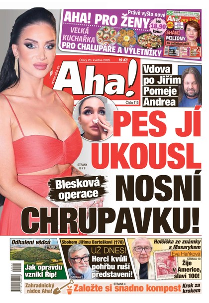 E-magazín AHA! - 20.05.2025 - CZECH NEWS CENTER a. s.